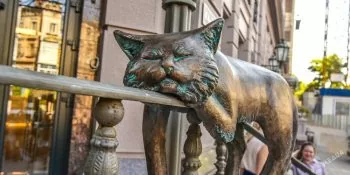 Odessa cats or new sights of the city